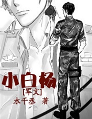 小白杨